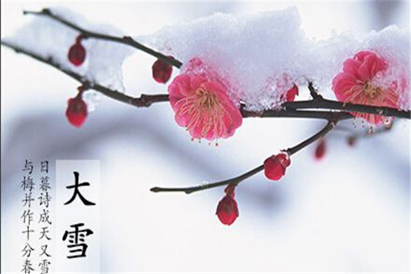 江蘇噴塑設(shè)備廠家｜大雪時節(jié),雪落歸家